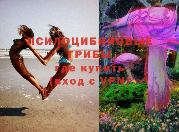 дурь Алексин