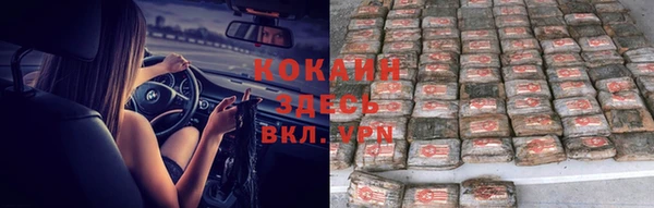 дурь Алексин
