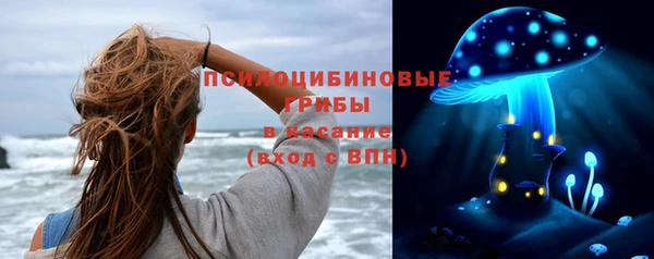 дурь Алексин