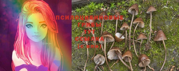 дурь Алексин
